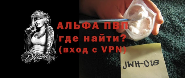 крисы Богородицк