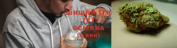 дживик Богородск