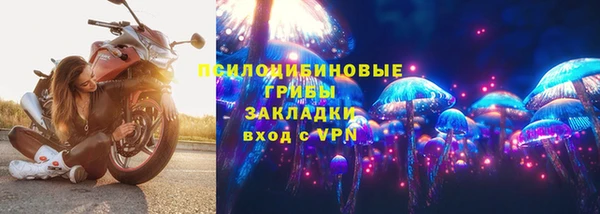 крисы Богородицк