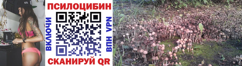 Купить где  Нижняя Тура  Галлюциногенные грибы Cubensis 
